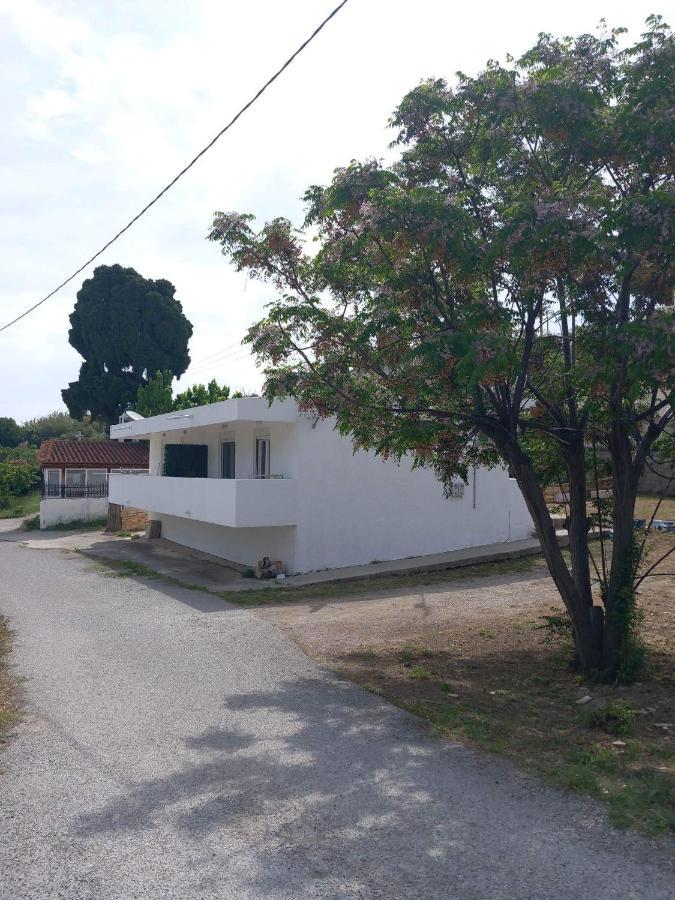 코스 타운 White Dream House 아파트 외부 사진